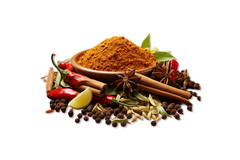 Cinq épices 60g